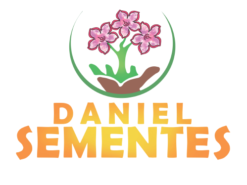 Daniel sementes